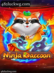 NinjaRaccoon